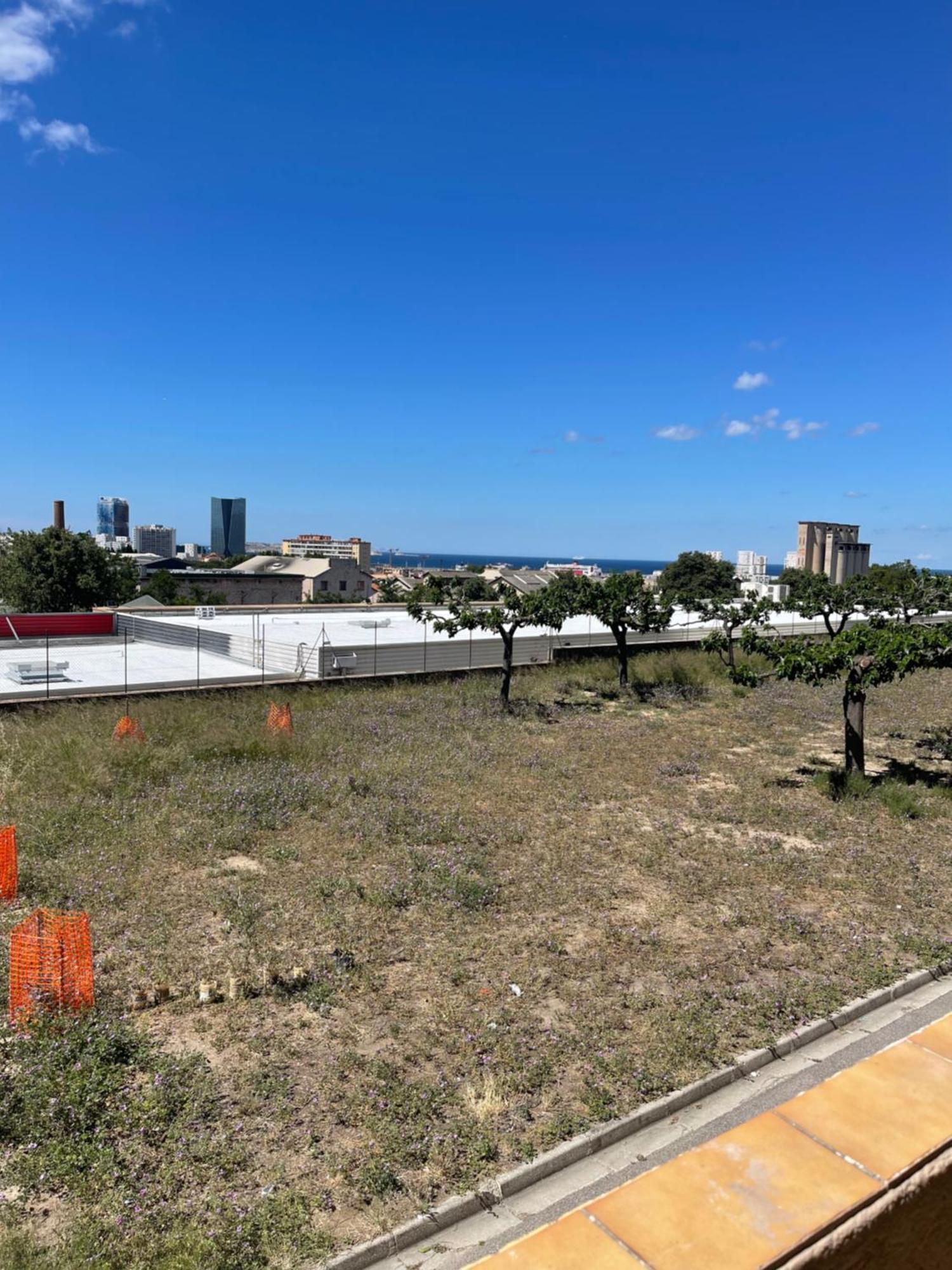 La Perle Marseillaise Apartment Marseille Bagian luar foto